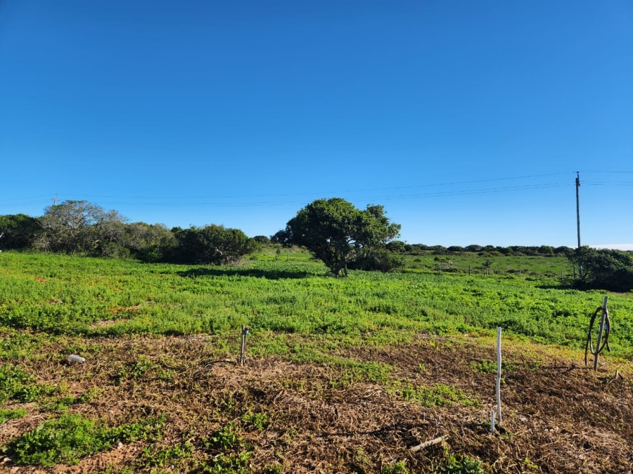 0 Bedroom Property for Sale in Stilbaai Wes Western Cape